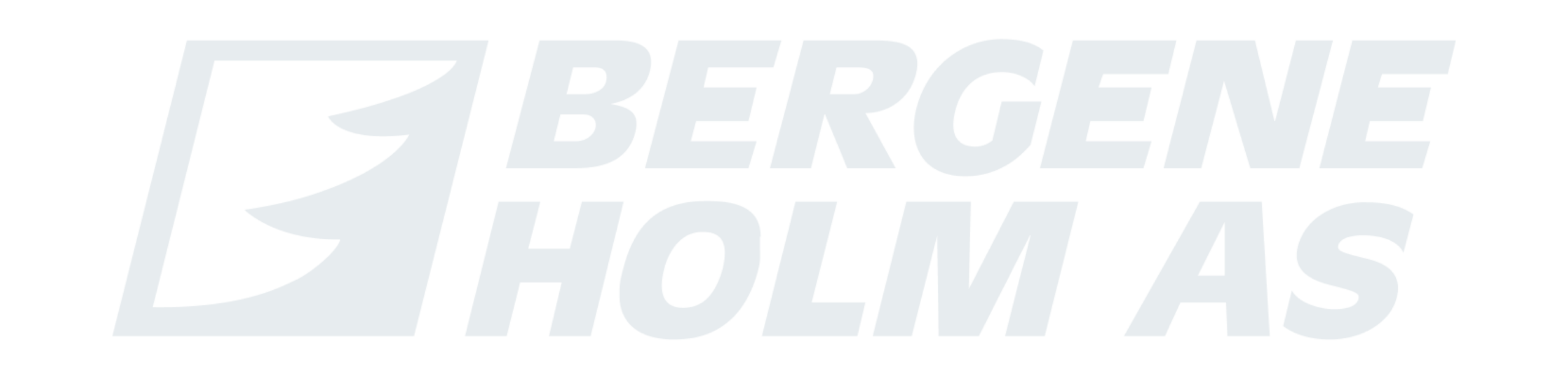 bildet av logoen til Bergene Holm