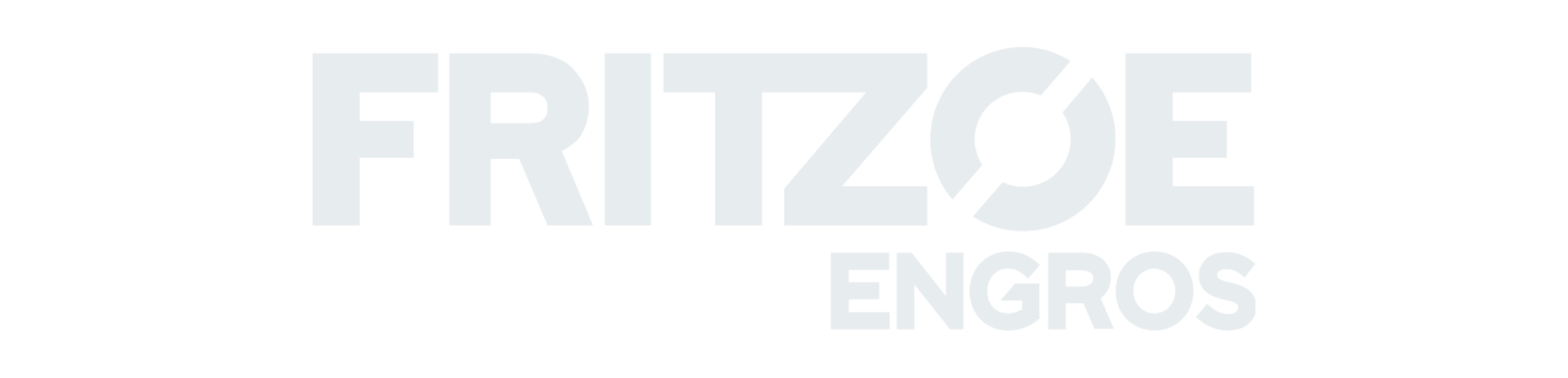 bildet av logoen til Fritzoe Engros